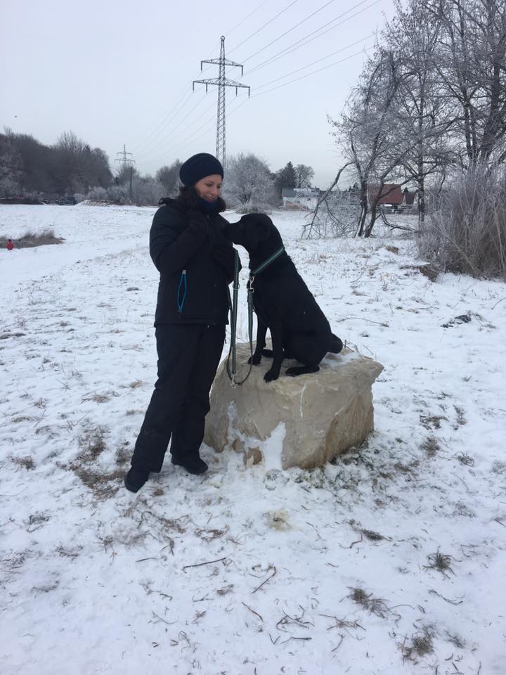 15826321_1359512327403855_8870304561622285476_n