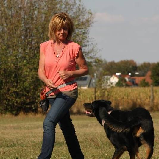 17796311_438062546536179_9208231195019129013_n