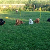 11251267_986468014708290_1733285160572172395_n