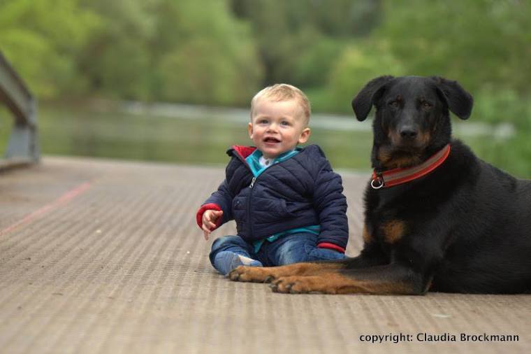 26166480_1704356712919413_2932490274971754707_n